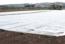 Покривало за насаждения